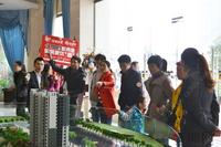 网友在沙盘前咨询