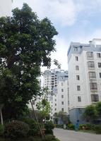 实景图-03