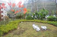 香颂·诺丁山 实景图