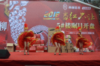 南俪5#楼开盘开场热舞