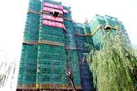 2016年8月10日实景图