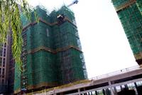 2016年8月10日实景图