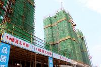 2016年8月10日实景图