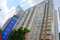 牛顿@苹果实景图