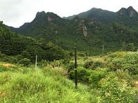 金秀·大瑶都养生度假区 实景图