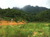 金秀·大瑶都养生度假区 实景图