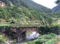 金秀·大瑶都养生度假区实景图