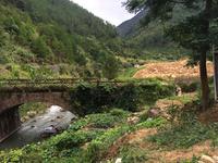 金秀·大瑶都养生度假区实景图