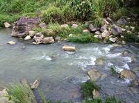 金秀·大瑶都养生度假区实景图