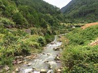 金秀·大瑶都养生度假区实景图