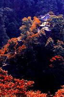 金秀·大瑶都养生度假区实景图