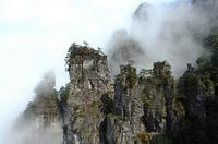 金秀•大瑶都养生度假区实景图