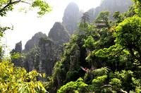 金秀•大瑶都养生度假区实景图