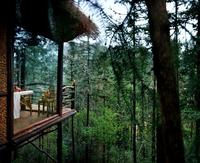 金秀·大瑶都养生度假区实景图