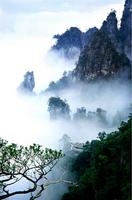 金秀·大瑶都养生度假区效果图