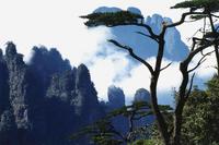 金秀·大瑶都养生度假区实景图