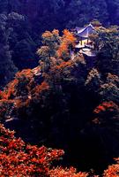 金秀•大瑶都养生度假区实景图