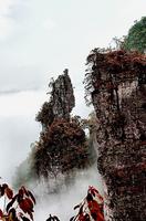 金秀·大瑶都养生度假区实景图