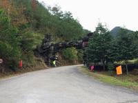 金秀·大瑶都养生度假区实景图