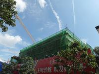 项目工程进度(8月份拍摄)