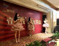 精彩的小提琴表演