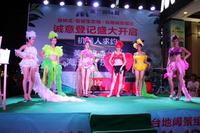 精彩的维密走秀