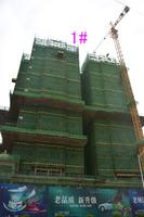 1#楼建筑进度图