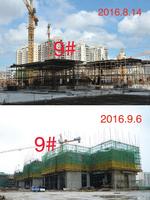 香槟郡二期9号楼工程进度