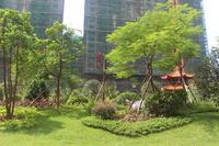 中心花园实景图