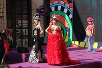 12.17金街样板段开放暨环球美食节