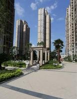 8月园林实景
