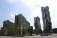 新家在成长!南兴乾隆苑花园工程实景播报已派送