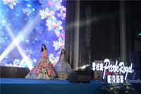 案名发布会