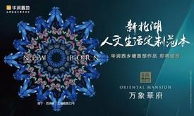 切换图