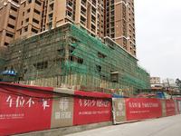 嘉印象施工进度实景图