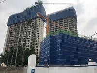 富丰·长堽1号实景图