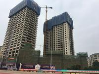 富丰·长堽1号实景图