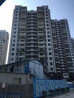 1#楼外架已全部拆除