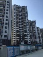 3#楼外架已拆除完