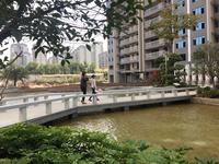 春风十里不如你!在南兴遇见绿意满园