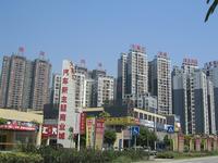 项目实景图