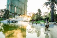实景图