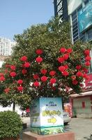 喜迎新春，美兰国际城接待中心“年味”浓浓