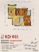 10栋一单元02/二单元01户型