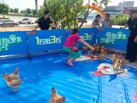 四秒一只鸡，6啊大神~