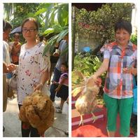 抓鸡大侠满载而归