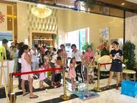 真人版的“愤怒的小鸟”