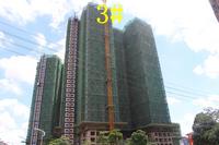 3#楼工程实景
