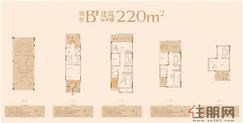 【别墅220平米户型】