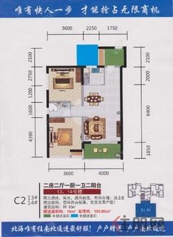 【C2】2室2厅1卫1厨2阳台